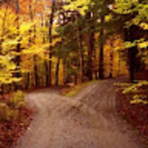 Meet your Posher, Hope